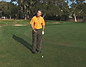 3 Simple Rules for Perfect Chipping